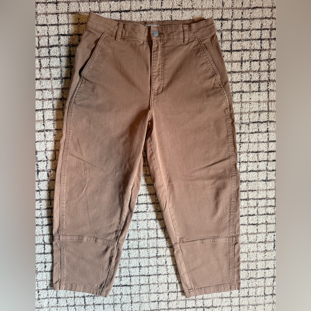Everlane Utility Barrel Pant 12